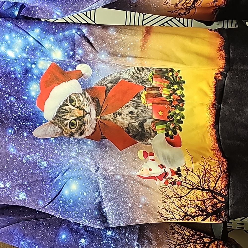 🎄 Christmas kitty sweatshirt NWOT